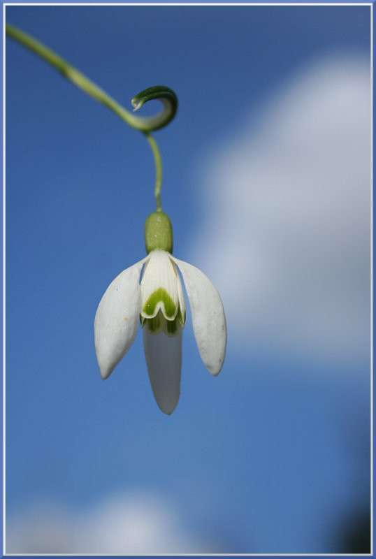 �� ���� ����. ����� �������  �� PhotoGeek.ru #������ ��� ������� #����� ��������������