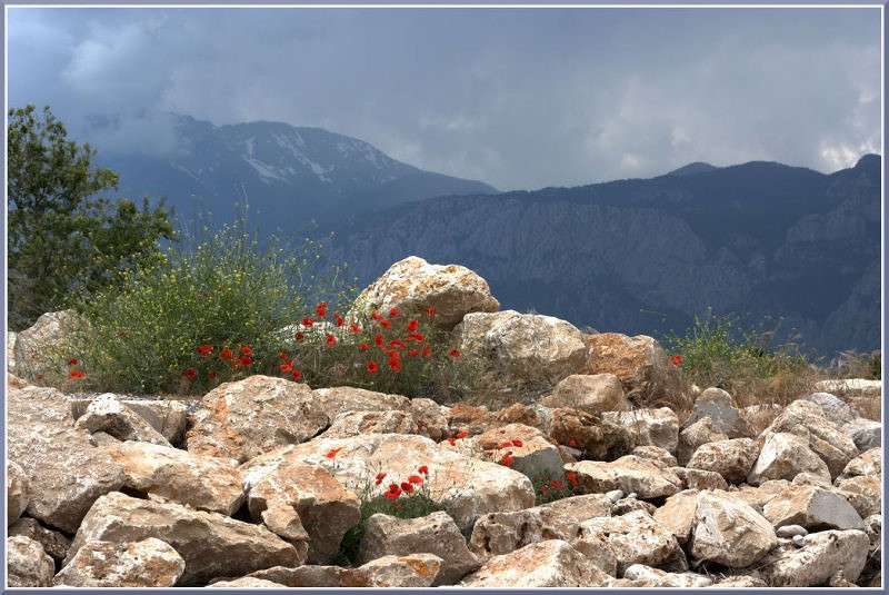 ���� ����� �������  �� PhotoGeek.ru #������ ��� �������