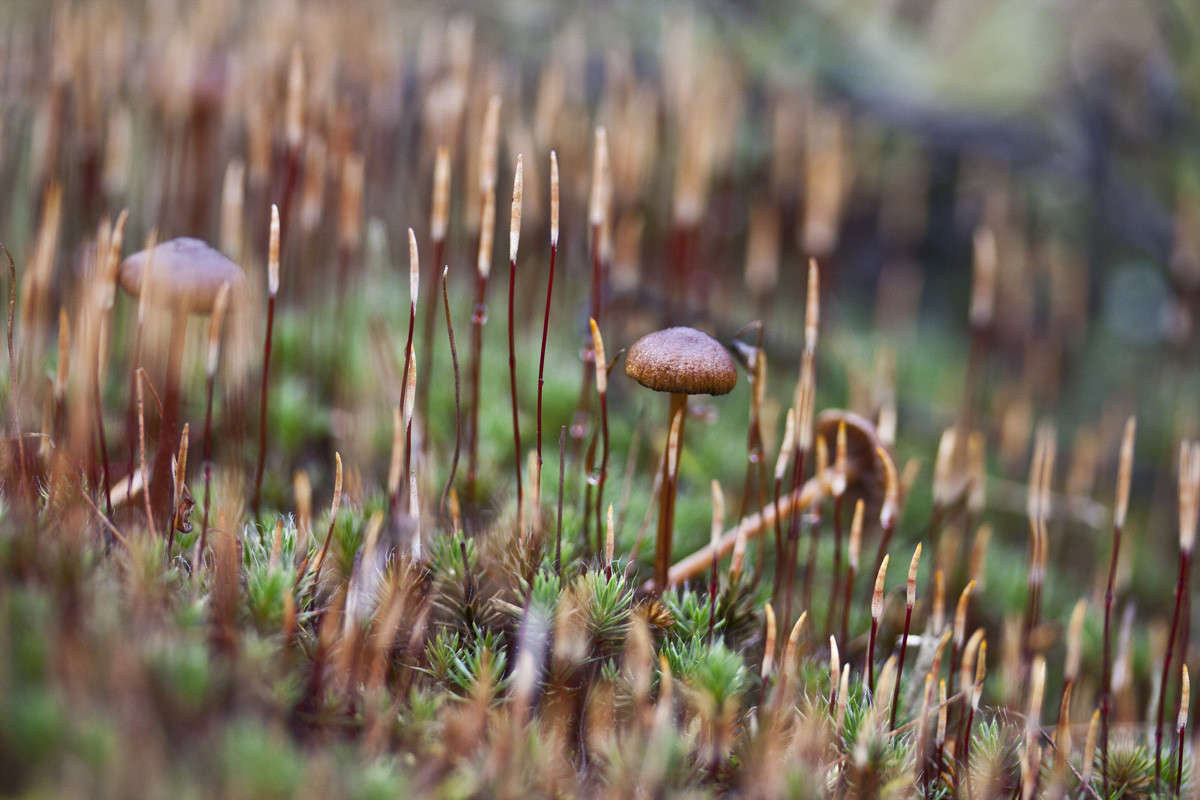 �������� ����� �������  �� PhotoGeek.ru #����� #������ ��� ������� #����� ��������������