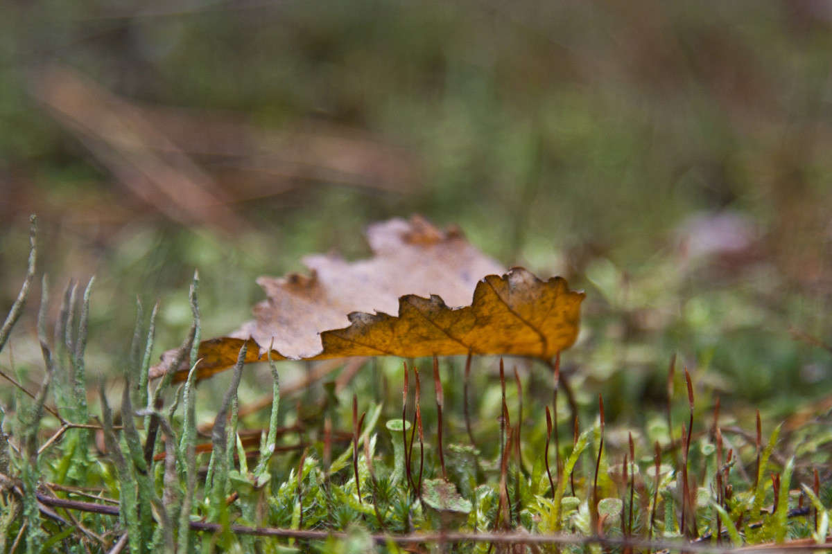 � ��������� ���� ����� �������  �� PhotoGeek.ru #����� #������ ��� ������� #����� ��������������