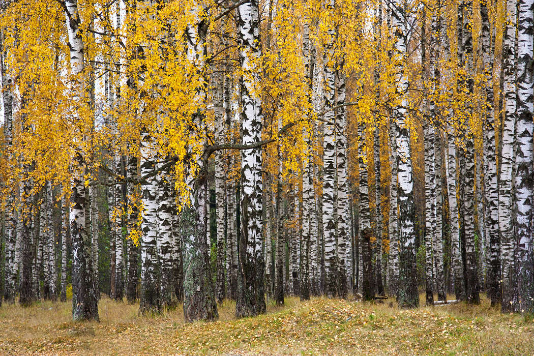 ������� �������� ����� �������  �� PhotoGeek.ru #������ ��� ������� #����� ��������������