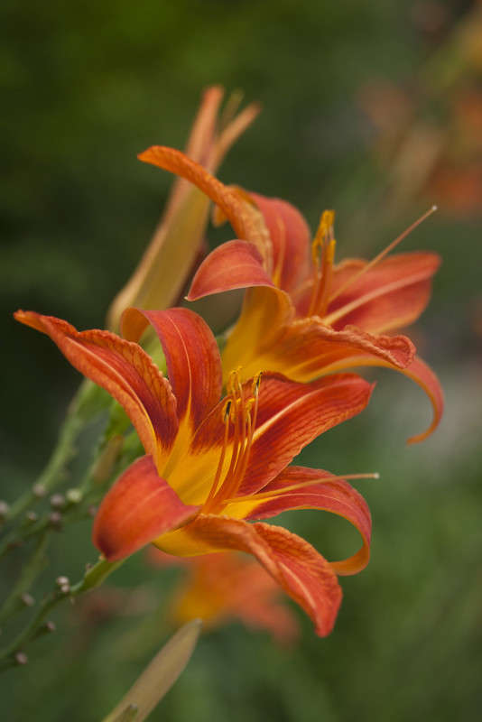 �������� ����� �������  �� PhotoGeek.ru #������ ��� ������� #����� ��������������