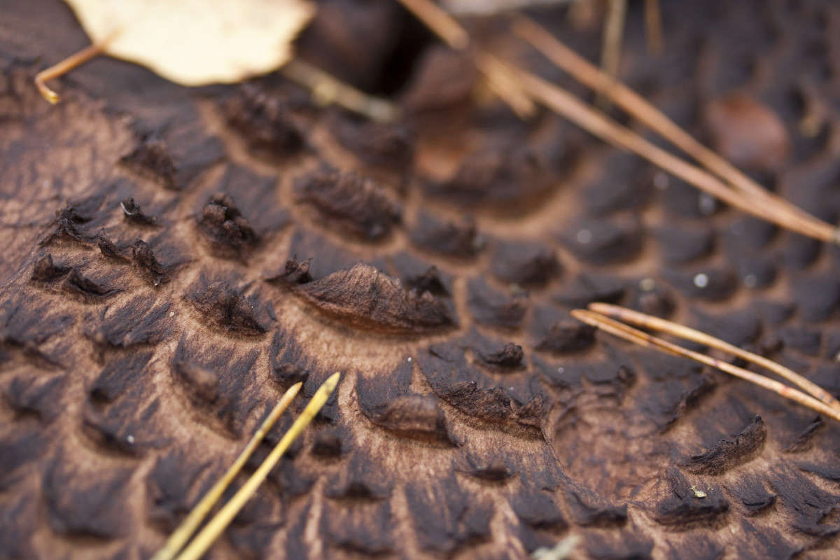 ���� ������ ����� �������  �� PhotoGeek.ru #����� #����� ��������������