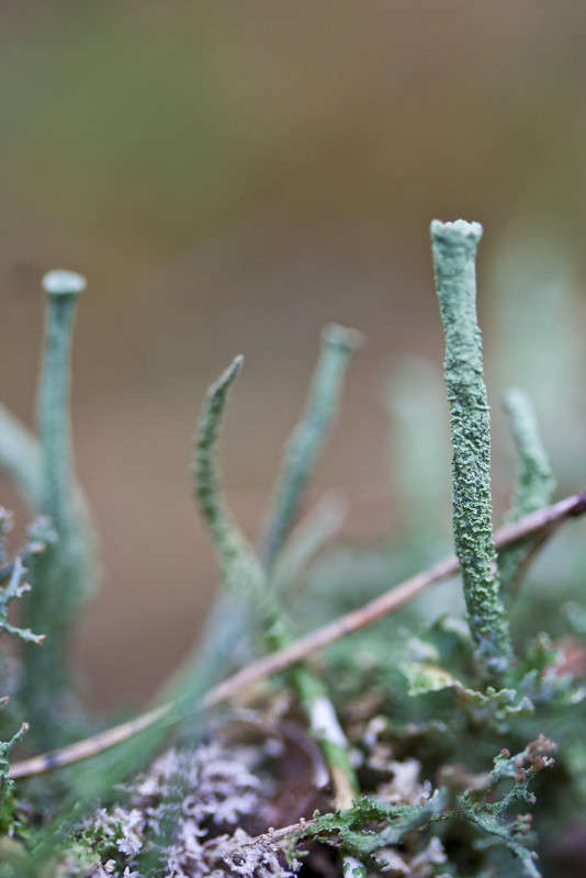 ... ����� �������  �� PhotoGeek.ru #�����