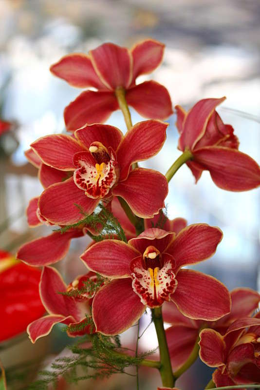 ������� ����� �������  �� PhotoGeek.ru #������ ��� ������� #����� ��������������