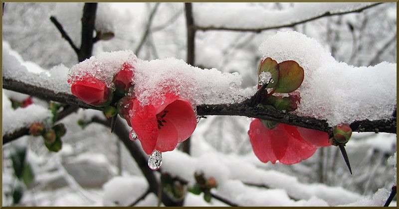 ... ����� �������  �� PhotoGeek.ru #������ ��� ������� #����� ��������������