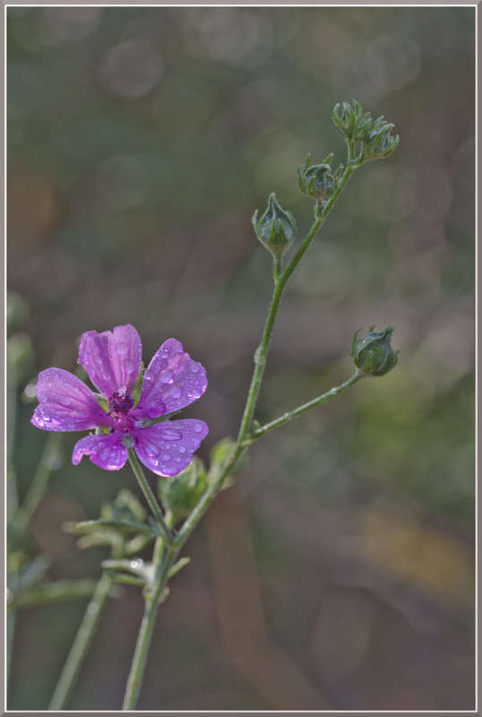 ... ����� �������  �� PhotoGeek.ru #������ ��� ������� #����� ��������������