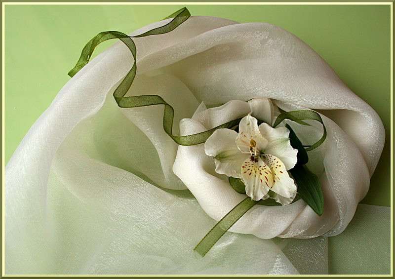 ������������� ���������� ����� �������  �� PhotoGeek.ru #���������