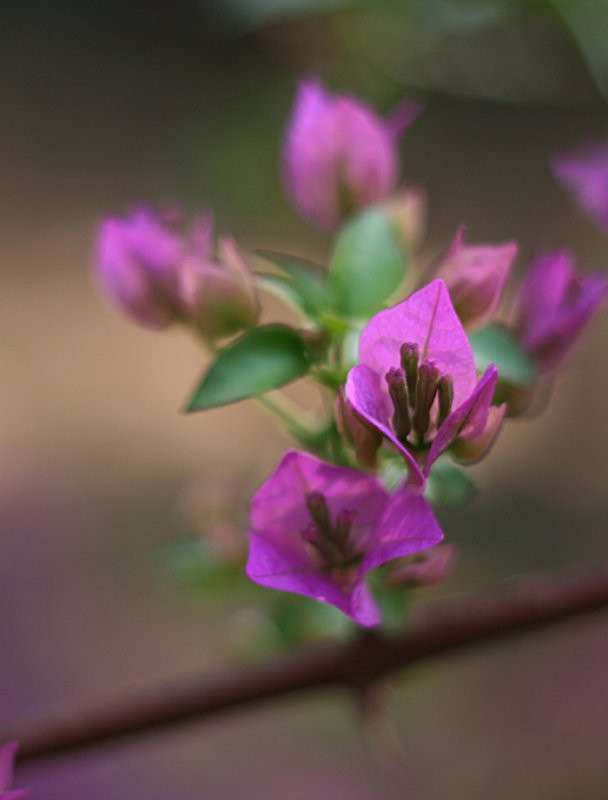 ... ����� �������  �� PhotoGeek.ru #������ ��� ������� #����� ��������������