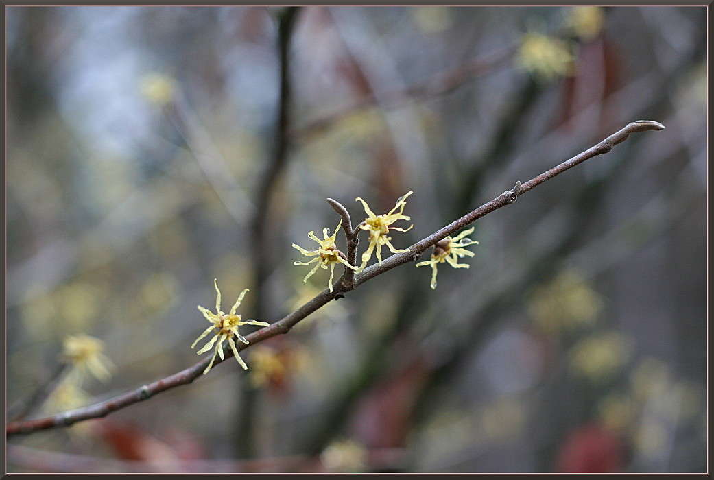 ... ����� �������  �� PhotoGeek.ru #������ ��� ������� #����� ��������������