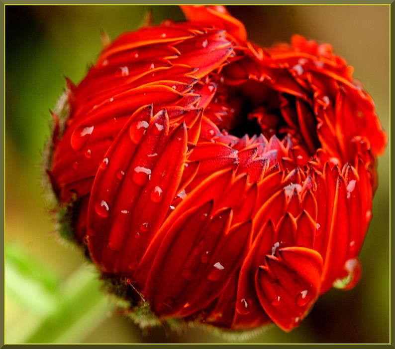 ����� ����� �������  �� PhotoGeek.ru #������ ��� ������� #����� ��������������