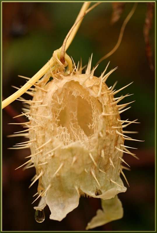 ... ����� �������  �� PhotoGeek.ru #������ ��� ������� #����� ��������������