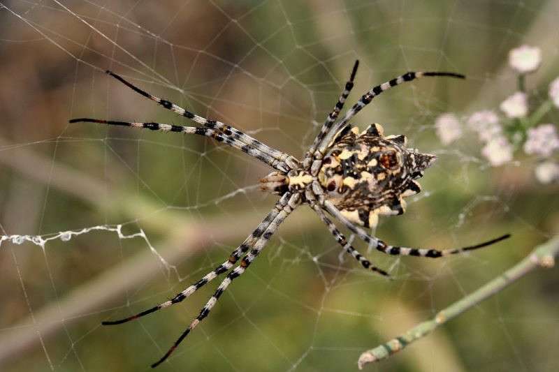 ����� �������� ����� �������  �� PhotoGeek.ru #����� #�������� ��� #������ ��� �������