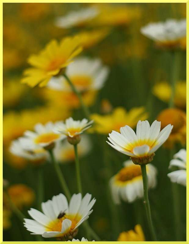 ��� �������,��� �������... ����� �������  �� PhotoGeek.ru #������ ��� ������� #����� ��������������