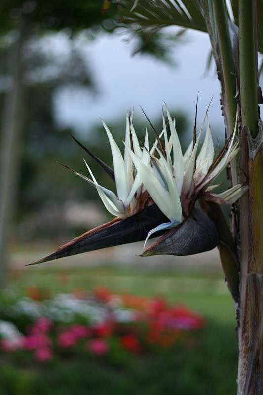 ������� �������� ����� �������  �� PhotoGeek.ru #������ ��� ������� #����� ��������������