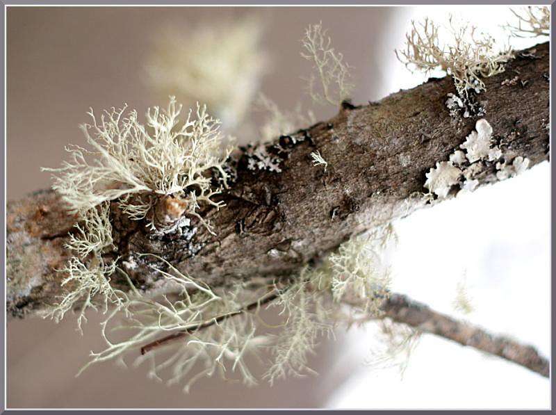 �� ���� ���� � ���������� ����� �������  �� PhotoGeek.ru #������ ��� ������� #����� ��������������