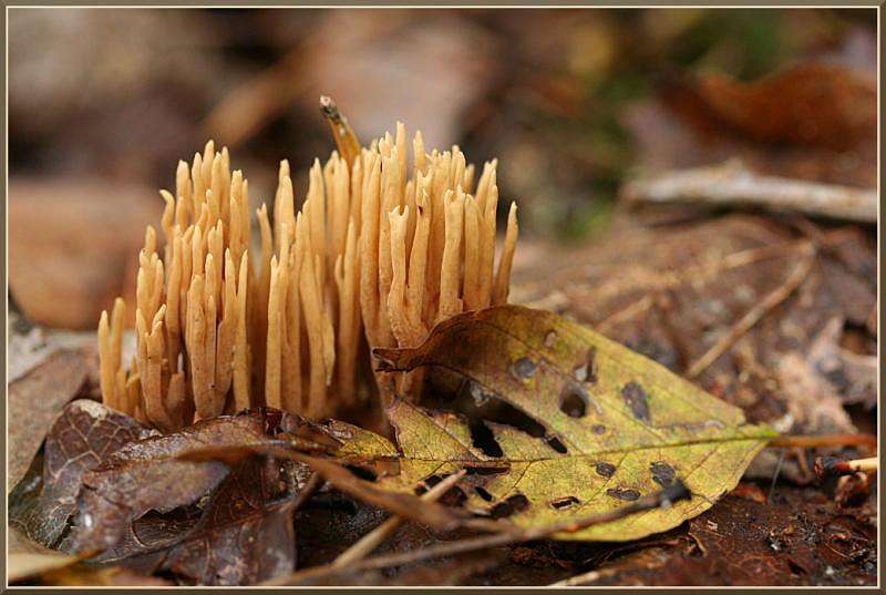 ������ ���� ����� �������  �� PhotoGeek.ru #������ ��� ������� #����� ��������������