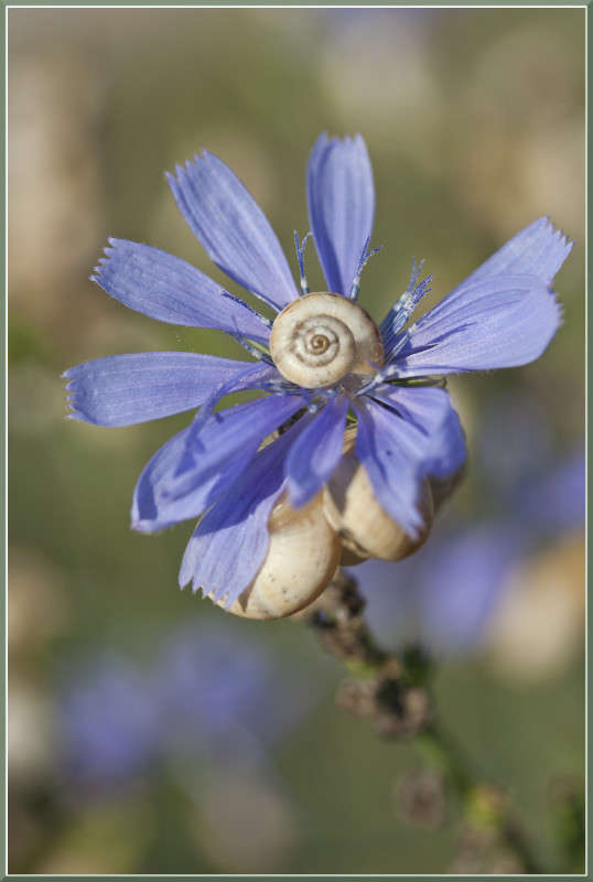 ������� ����� �������  �� PhotoGeek.ru #������ ��� ������� #����� ��������������