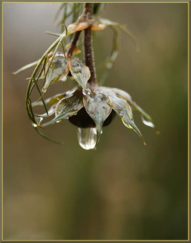 ��������� ����� ����� �������  �� PhotoGeek.ru #������ ��� ������� #����� ��������������