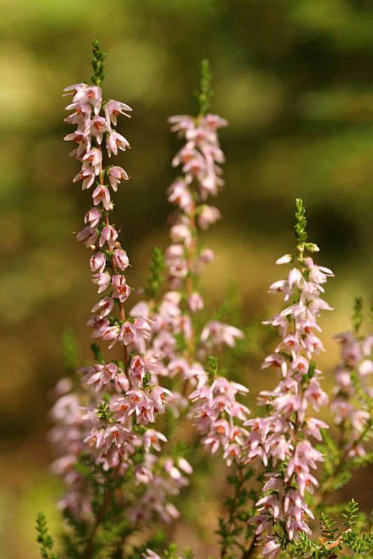 ������ ����� �������  �� PhotoGeek.ru #������ ��� ������� #����� ��������������