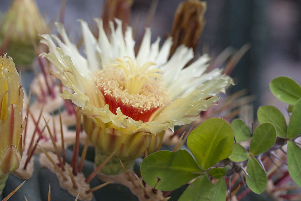 ������ ����� �������  �� PhotoGeek.ru #����� #������ ��� ������� #����� ��������������