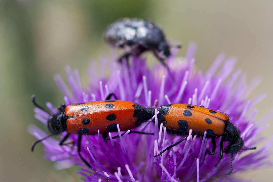 ������ ������ ����� �������  �� PhotoGeek.ru #����� #�������� ���