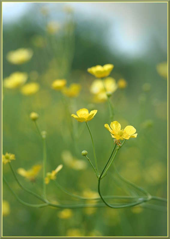 ������-�������� ����� �������  �� PhotoGeek.ru #������ ��� ������� #����� ��������������