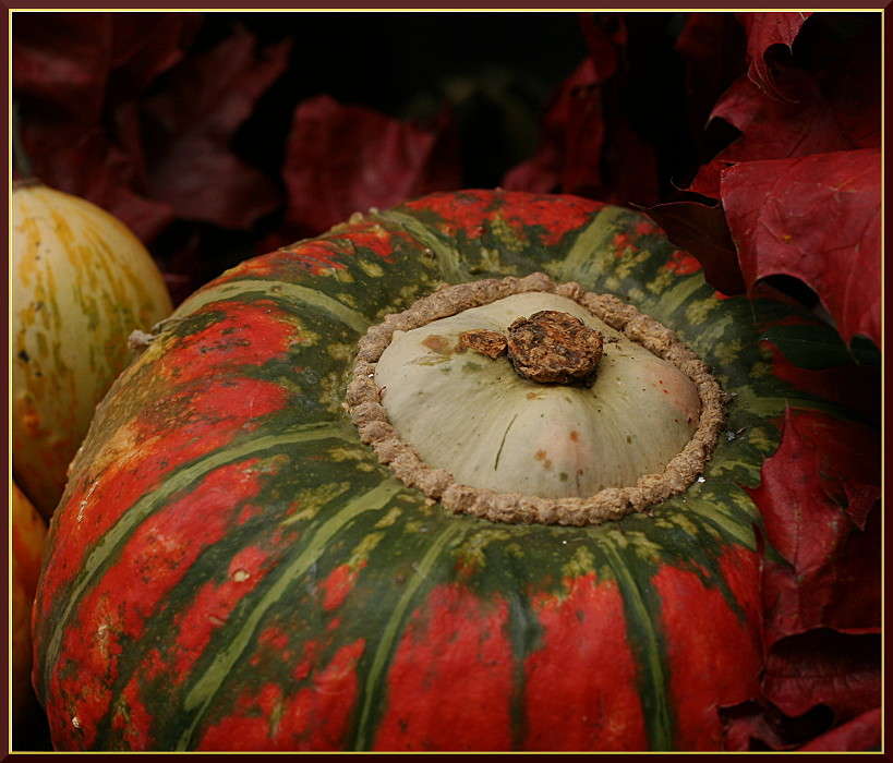 ������� ����� �������  �� PhotoGeek.ru #���������