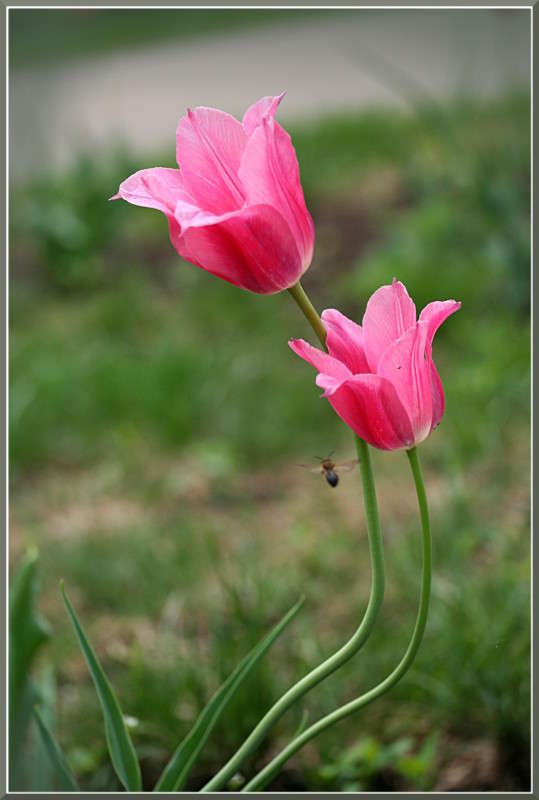 ������� ����� ����� �������  �� PhotoGeek.ru #������ ��� ������� #����� ��������������