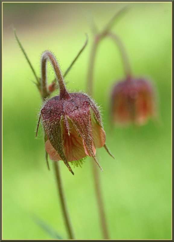 ������ ����� �������  �� PhotoGeek.ru #����� #����� ��������������