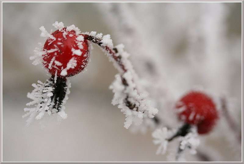 ������ ����� �������  �� PhotoGeek.ru #������ ��� ������� #����� ��������������