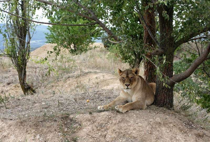 �� ������ ����� �������  �� PhotoGeek.ru #�������� ���