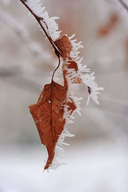 ... ����� �������  �� PhotoGeek.ru #����� #������ ��� �������