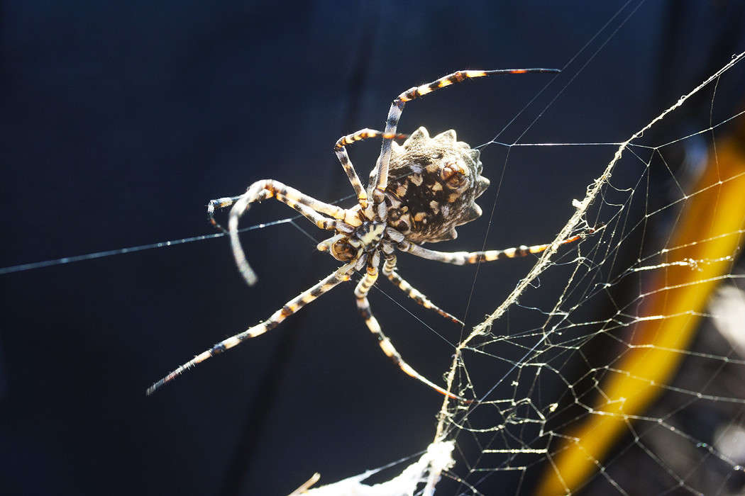 ������ ������� ����� �������  �� PhotoGeek.ru #����� #������ ��� �������