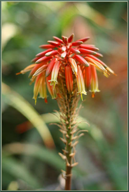 ���� ����� �������  �� PhotoGeek.ru #������ ��� ������� #����� ��������������