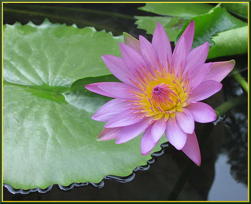 ������� ����� ����� �������  �� PhotoGeek.ru #������ ��� ������� #����� ��������������