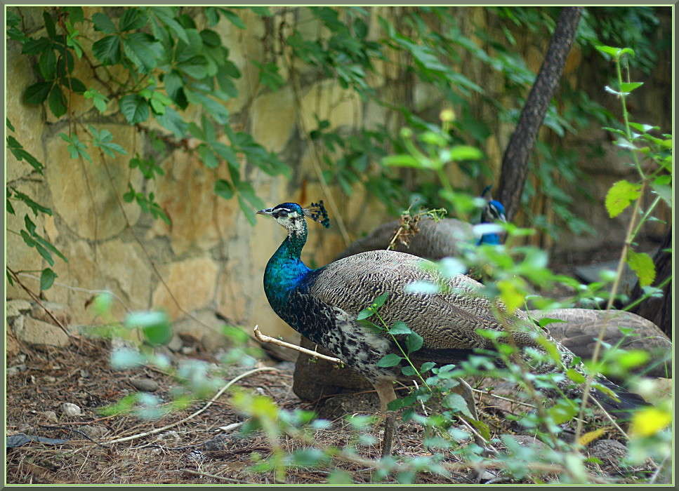 ������ ����� �������  �� PhotoGeek.ru #�������� ���