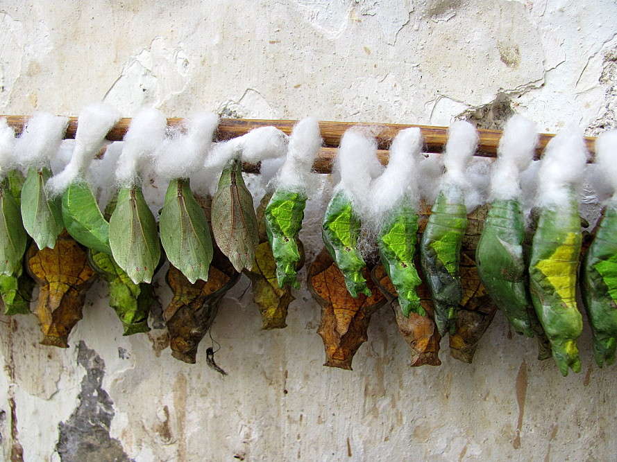 ��������� ����� �������  �� PhotoGeek.ru #����� #�������� ���