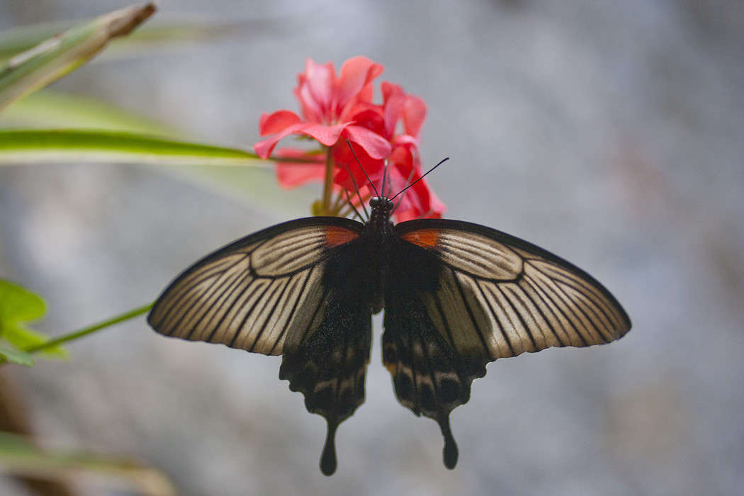 �� ������ ����� �������  �� PhotoGeek.ru #����� #������ ��� �������