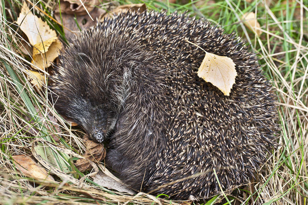 ���� ������� ��������... ����� �������  �� PhotoGeek.ru #�������� ��� #������ ��� �������