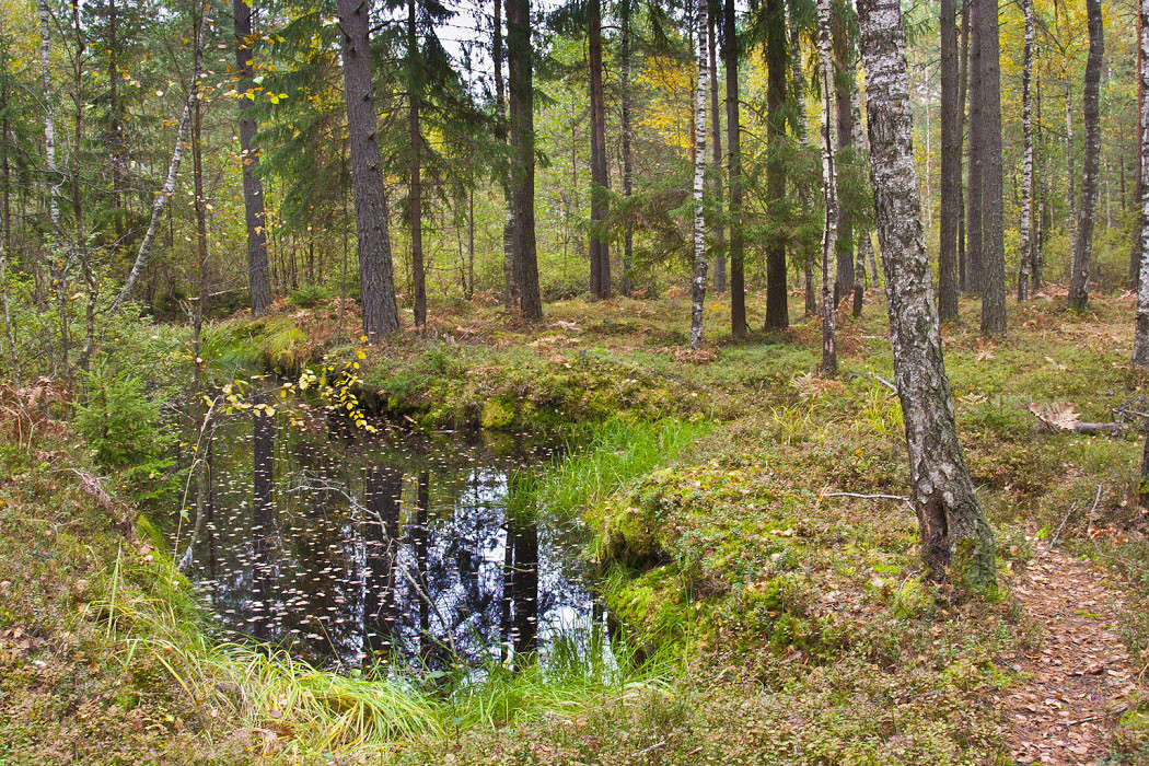 � ���� ����� �������  �� PhotoGeek.ru #������ ��� �������