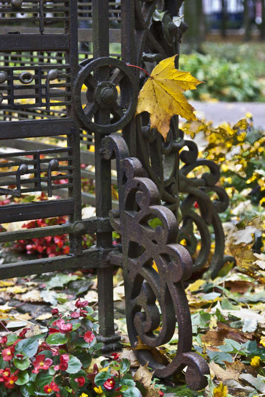 ��� �����... ����� �������  �� PhotoGeek.ru #�������� ����������