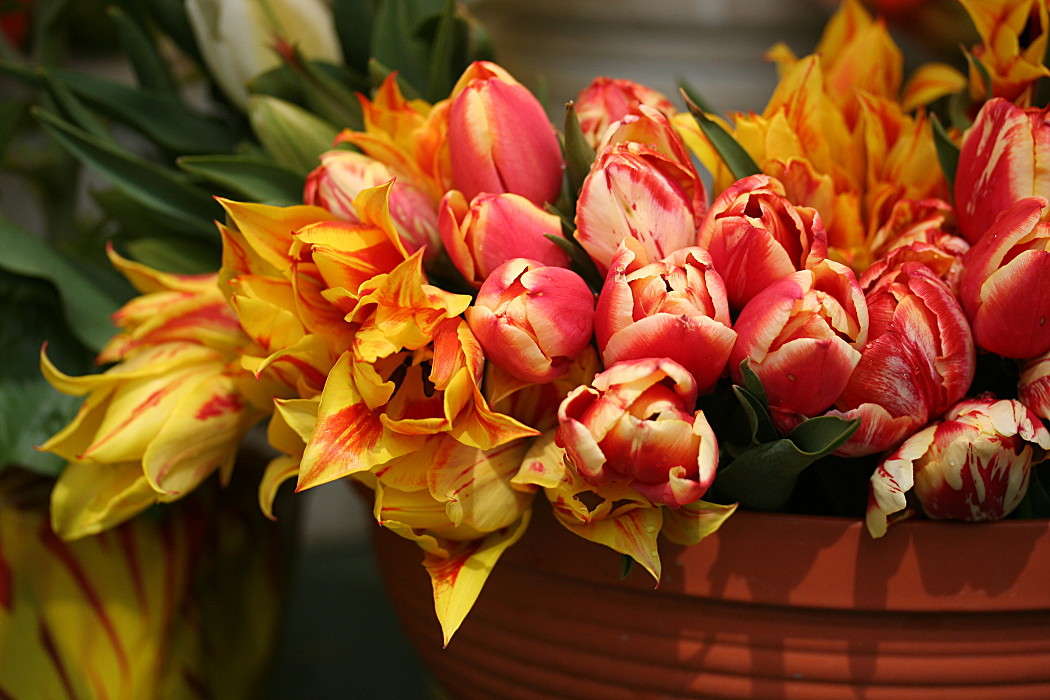 �������� ����� �������  �� PhotoGeek.ru #�������� ����������