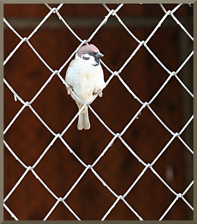 ������� ��������! ����� �������  �� PhotoGeek.ru #�������� ���