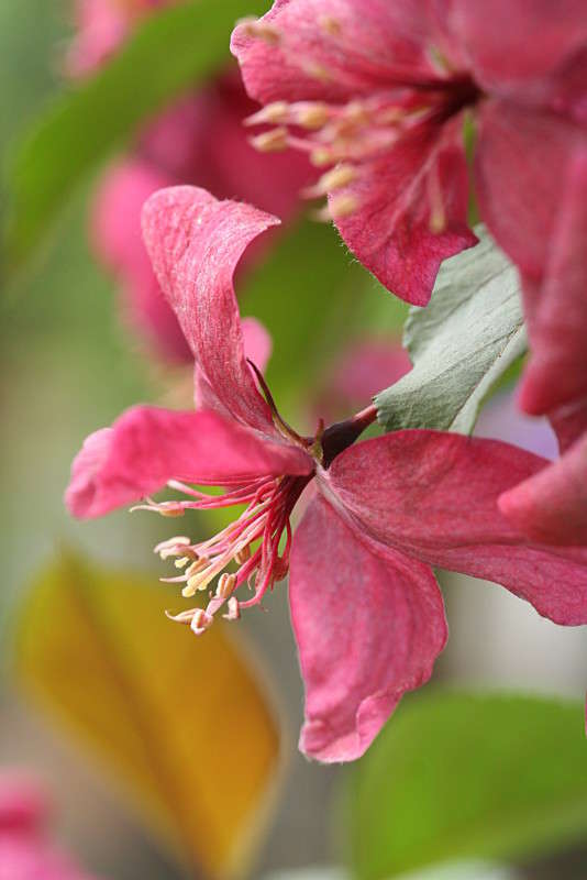 ����� ������ ������... ����� �������  �� PhotoGeek.ru #������ ��� ������� #����� ��������������