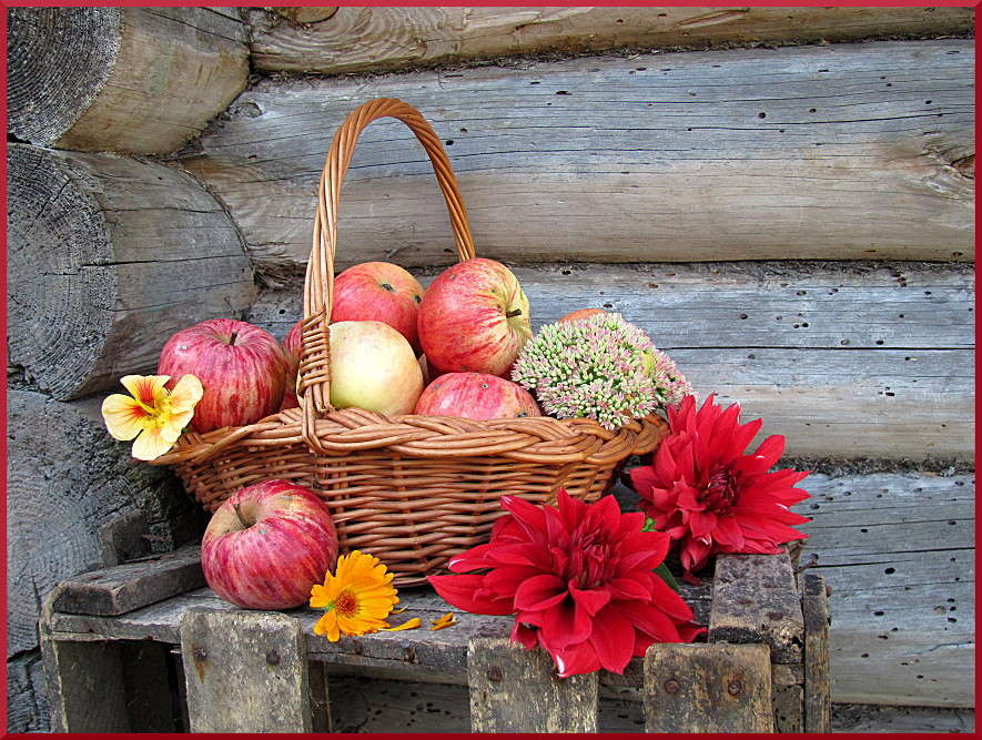 ���� ����� ����� �������  �� PhotoGeek.ru #���������