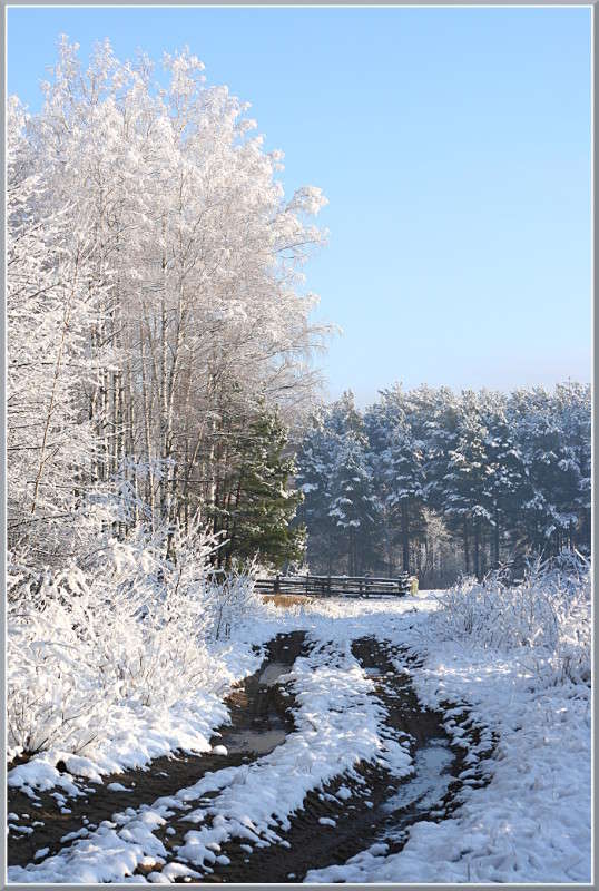 ������ ���� ����� �������  �� PhotoGeek.ru #������ ��� �������