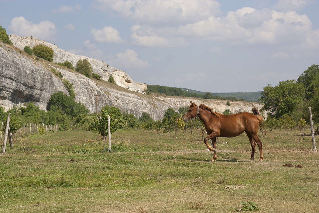 ����.����. ����� �������  �� PhotoGeek.ru #�������� ��� #������ ��� �������