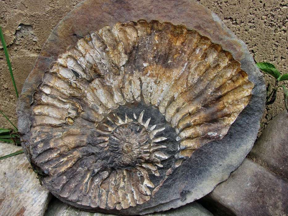 ������� � ����� ���. ������� ����� �������  �� PhotoGeek.ru #��������