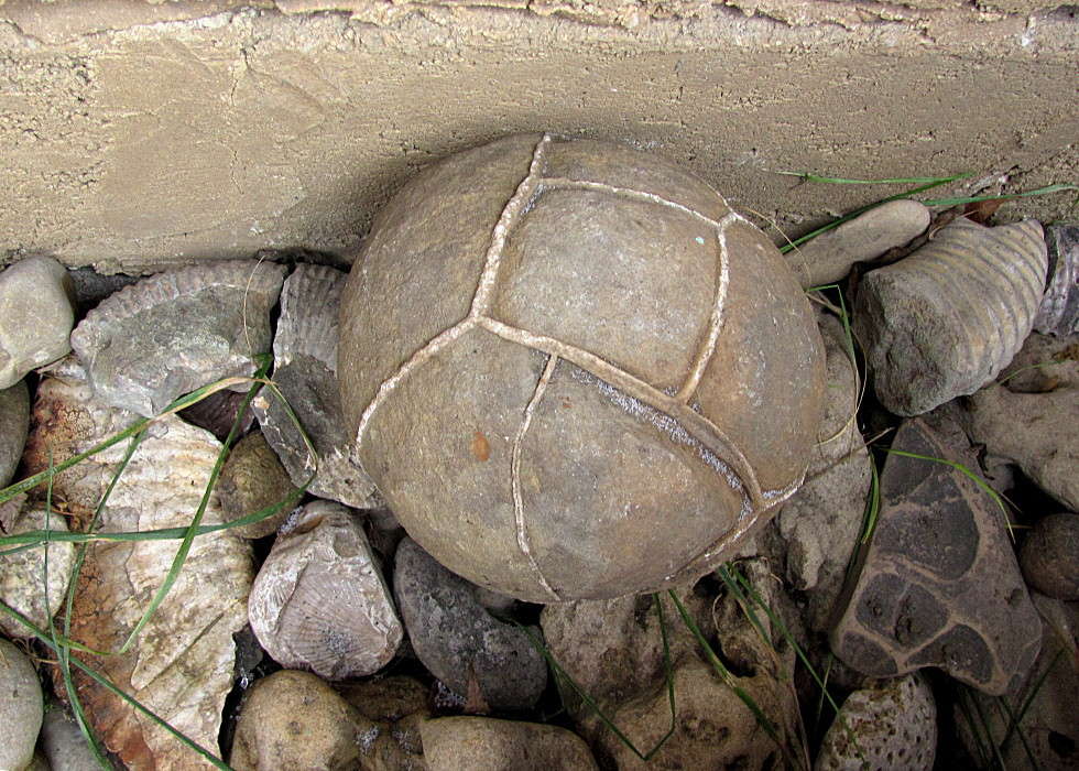 ������������ ����� �������  �� PhotoGeek.ru #��������